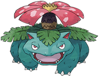 Amazing customer service